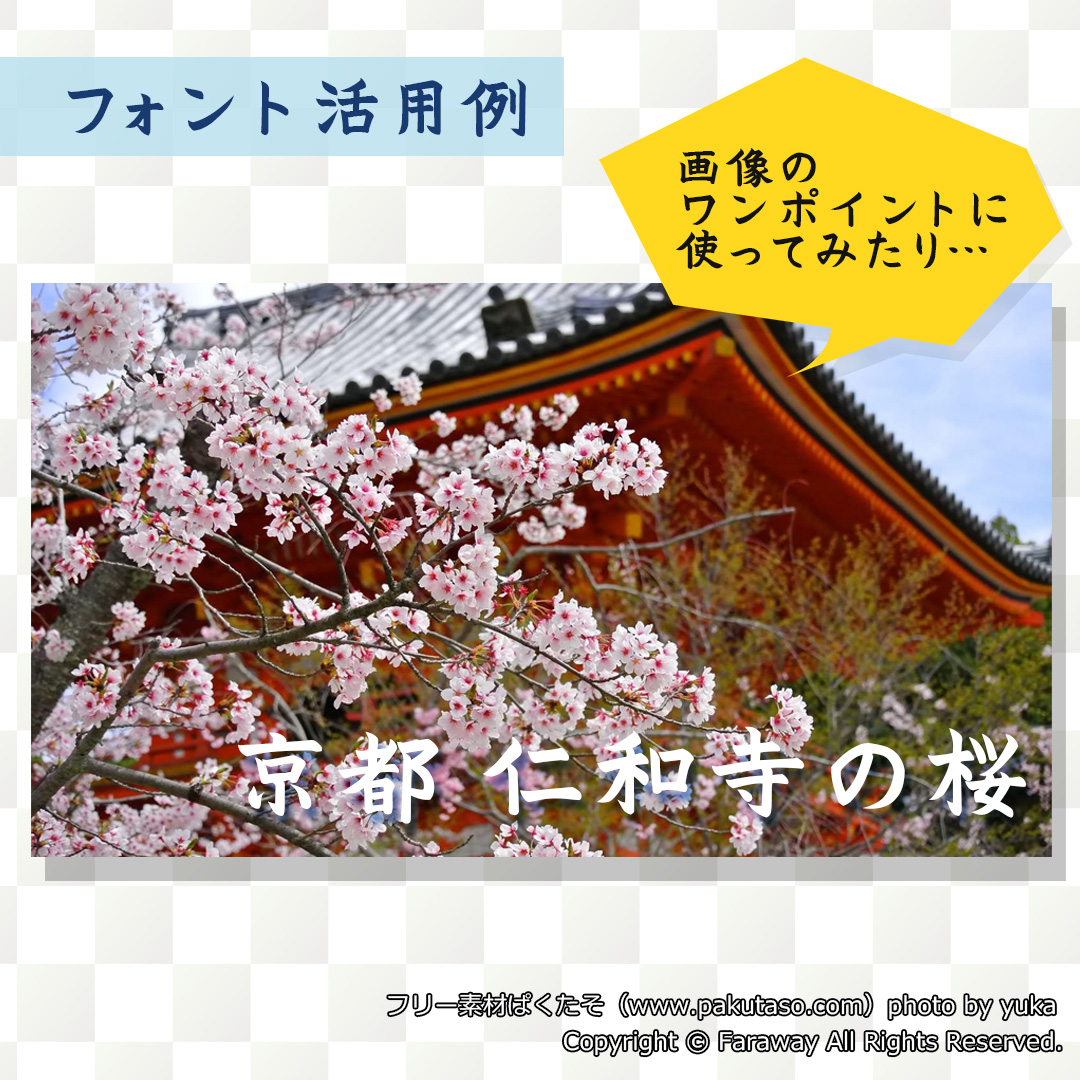 フォントサンプル_文章